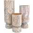 Currey and Company Varying Decorative Vase Set Dark Brown / Natural