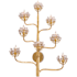 Currey and Company Agave Americana 8 Light 32" Tall Wall Sconce Dark Contemporary Gold Leaf
