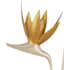 Alternate Image