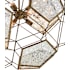 Alternate Image