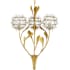 Alternate Image