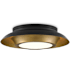 Currey and Company Metaphor 3 Light 20" Wide Flush Mount Ceiling Fixture Painted Antique Brass / Painted Black