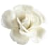 Cyan Design Wall Flowers 2" x 4-1/4" Botanical Ceramic Wall Decor Off White Glaze