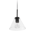 Dainolite Roswell 9" Wide Mini Pendant Matte Black