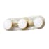 Dainolite Velma 3 Light 20" Wide LED Vanity Light Clear / Aged Brass