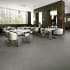 Daltile-PFPC36C9TP-Office