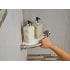Delta-41316-Shower Shelf Assist Bar in Brilliance Stainless