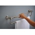 Delta-41319-Towel and Assist Bar in Brilliance Stainless
