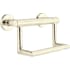 Delta BathSafety Wall Mounted Toilet Paper Holder Brilliance Polished Nickel