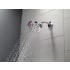 Delta-52646-PK-Running Shower Head in Chrome