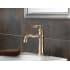 Delta-555LF-Installed Faucet with Escutcheon Plate in Champagne Bronze