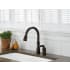 Delta-955-DST-Installed Faucet in Venetian Bronze