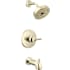 Brilliance Polished Nickel