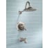 Delta-T17T492-Installed Tub and Shower Trim in Brilliance Stainless