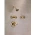 Delta-T1817-Installed Shower System in Champagne Bronze