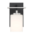Designers Fountain Prince St Single Light 9" Tall Wall Sconce with Etched Opal Glass Shade Matte Black