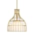Designers Fountain Evensong 12" Wide Cage Pendant Brushed Gold