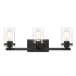 Designers Fountain Jedrek 3 Light 24" Wide Vanity Light Black