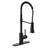Design House Spencer 1.8 GPM Single Hole Pre-Rinse Kitchen Faucet - Includes Escutcheon Matte Black