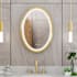 DreamLine Brilliance 20"W x 28"H Oval Flat Framed Wall Mounted Bathroom Mirror with LED Lighting Brushed Brass