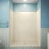 DreamLine QWALL-VS 56 - 60" W x 41" D x 76" H Acrylic Backwall Shower Kit Biscuit