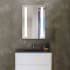 Electric Mirror Ascension 23-1/4" x 30" Lighted Frameless Single Door Medicine Cabinet N/A