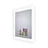 Electric Mirror Silhouette with 15" TV 36" W x 42" H Rectangular Frameless Bathroom Wall Mirror with Light N/A