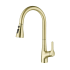 Elegant Lighting Andrea 1.8 GPM Single Hole Pull Down Kitchen Faucet Brushed Gold