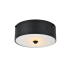 Elegant Lighting Hazen 2 Light 12" Wide Flush Mount Drum Ceiling Fixture with Frosted Glass Shade - Flat Black Flat Black