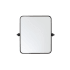 Elegant Lighting Everly 20" W x 24" H Transitional Rectangular Framed Bathroom Wall Mirror Black