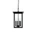 Elegant Lighting Sheridan 4 Light 9" Wide Outdoor Mini Pendant Black