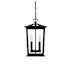 Elegant Lighting Berks 2 Light 9" Wide Outdoor Mini Pendant Black
