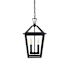 Elegant Lighting Frankford 2 Light 10" Wide Outdoor Pendant Black