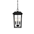 Elegant Lighting Riggs 3 Light 8" Wide Outdoor Mini Pendant Black