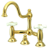 Polished Brass (PVD)
