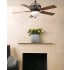 Ellington LS52ABZ5CRGD Lone Star Ceiling Fan - Room Shot