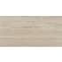 Emser Tile Esplanade - 12" x 24" Rectangle Floor and Wall Tile - Matte Visual - Sold by Carton (17.44 SF/Carton) Pass