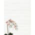 Emser Tile-F72SURF-G1224-surface_linear_white_room_scene.jpg