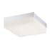 Eurofase Lighting Dixon 9" Wide LED Flush Mount Square Ceiling Fixture Chrome