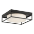 Eurofase Lighting Rover 12" Wide LED Flush Mount Ceiling Fixture Black