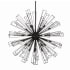 Eurofase Lighting Dendelio 29 Light 41" Wide Sputnik Chandelier Black