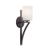 Forte Lighting Single Light 16-3/4" High Wall Sconce Antique Bronze