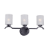 Forte Lighting 3 Light 22-3/4" Wide Bathroom Vanity Light Antique Bronze
