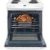 Large Capacity Oven White
