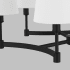 Alternate Image