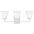 Generation Lighting Ellis Harper 3 Light 24" Wide LED Vanity Light Brushed Nickel
