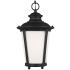 Generation Lighting Cape May 9" Wide LED Outdoor Mini Pendant Black