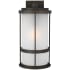 Generation Lighting Wilburn 20" Tall LED Outdoor Wall Sconce Antique Bronze