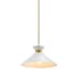 Globe Electric Alex 14" Wide Pendant Matte