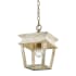 Golden Lighting Haiden 10" Wide Wood Mini Pendant Burnished Chestnut